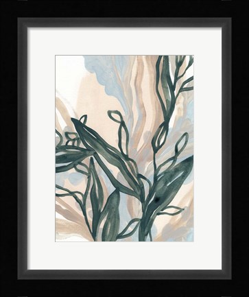 Framed Seaweed Drift II Print