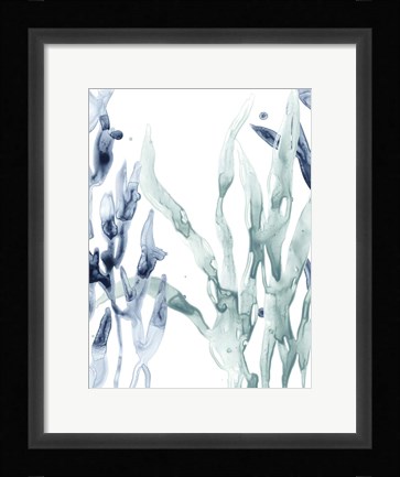 Framed Blue Kelp II Print