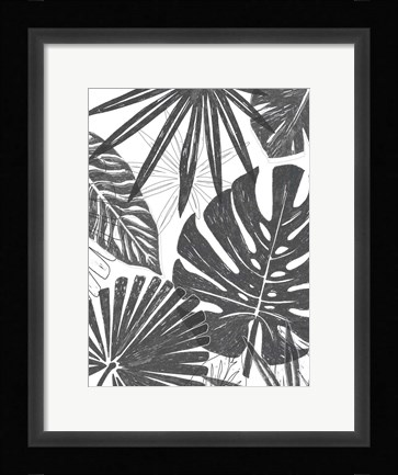 Framed Palm Shadows II Print