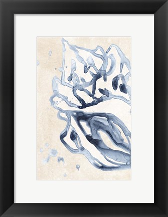Framed Water Shells II Print