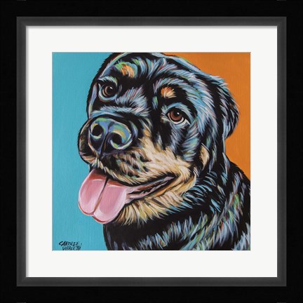Framed Rottweiler I Print