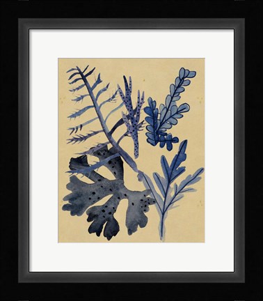 Framed Underwater Forest II Print