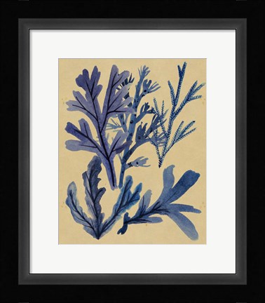 Framed Underwater Forest IV Print