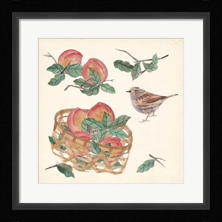 Framed Basket with Fruit II Print