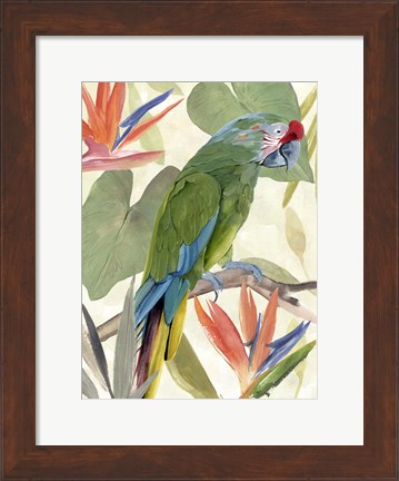 Framed Tropical Parrot Composition I Print