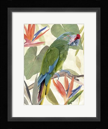 Framed Tropical Parrot Composition I Print
