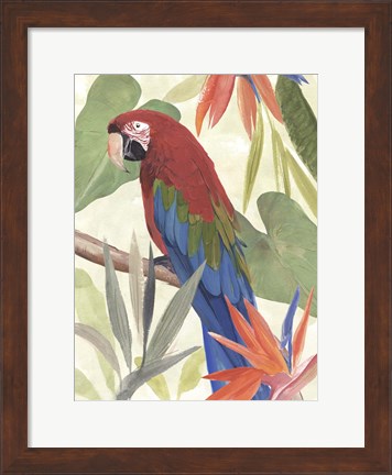 Framed Tropical Parrot Composition III Print