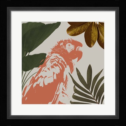 Framed Graphic Tropical Bird I Print