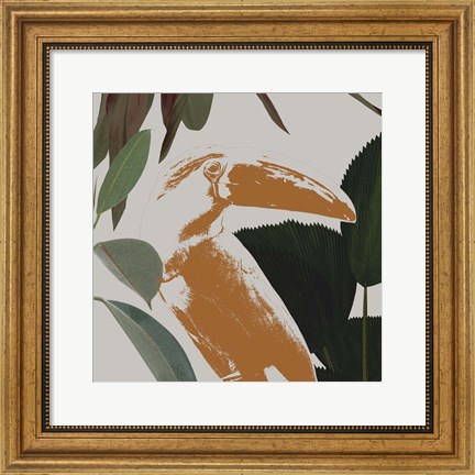 Framed Graphic Tropical Bird III Print