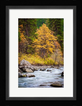 Framed Autumn Across The River Print