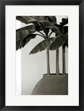 Framed Banana Trees Print