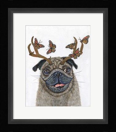 Framed Pug With a Big Rack Print