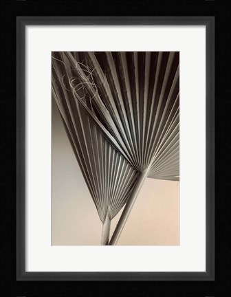 Framed Fan Detail 8 Print