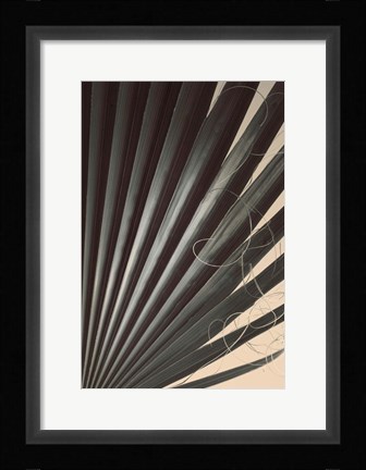 Framed Fan Palm Detail 2 Print