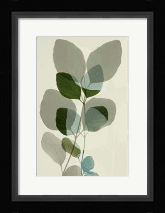 Framed Green Leaves 10 Print