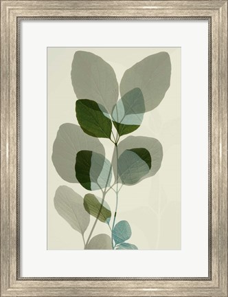 Framed Green Leaves 10 Print