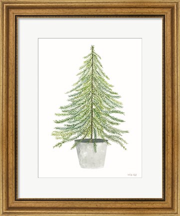 Framed Fir Tree in Pot II Print