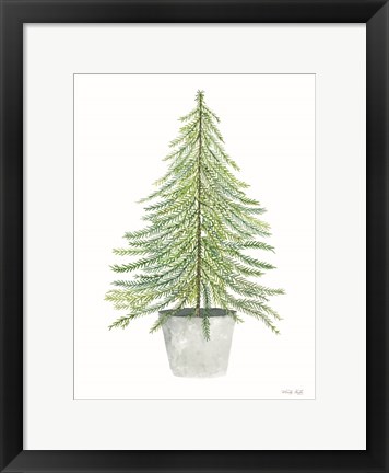 Framed Fir Tree in Pot II Print