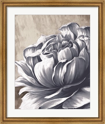Framed Charming Floral II Print