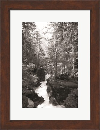 Framed Avalanche Trail Print