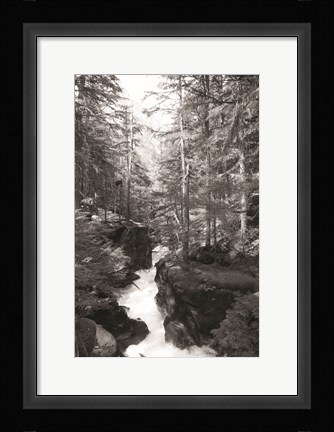 Framed Avalanche Trail Print