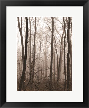 Framed Emptiness Print