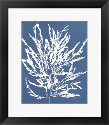 Framed Blue Botanical I Print