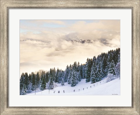 Framed Pines in the Sky Print