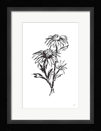 Framed Line Echinacea III Print