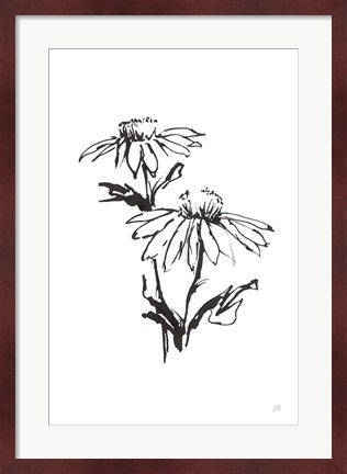Framed Line Echinacea II Print