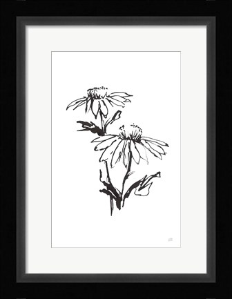 Framed Line Echinacea II Print