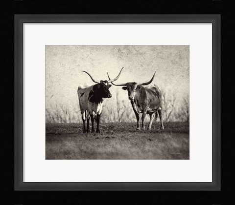 Framed Texas Longhorns Print