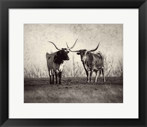 Framed Texas Longhorns Print