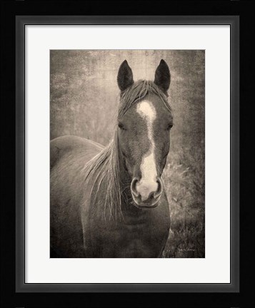 Framed Heres Looking at You II Print