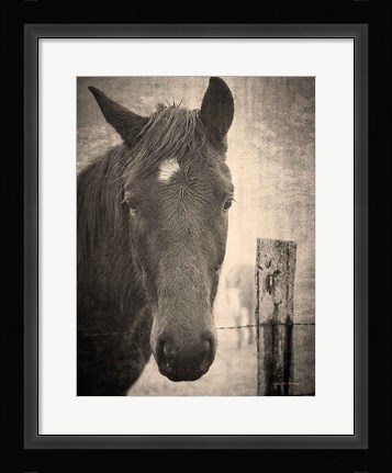 Framed Heres Looking at You I Print