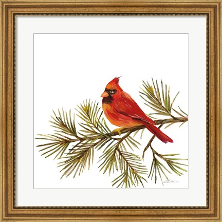 Framed Cardinal Christmas V on White Print
