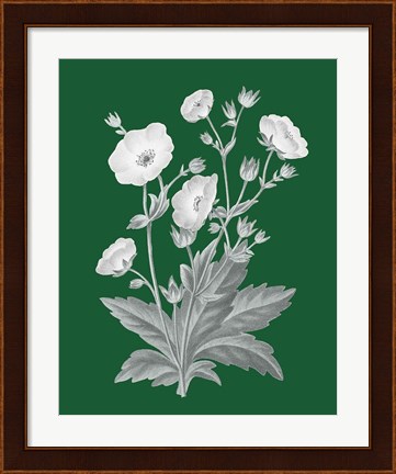 Framed Green Botanical VI Print