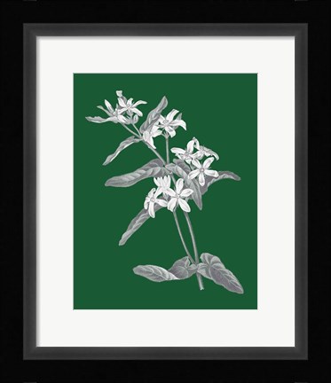 Framed Green Botanical IV Print