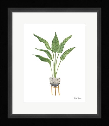 Framed Green House Plants III Print