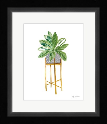 Framed Green House Plants I Print
