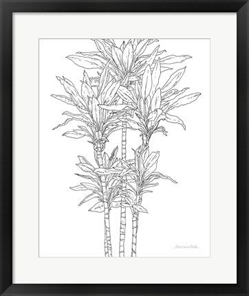 Framed Sketched Tree II Print