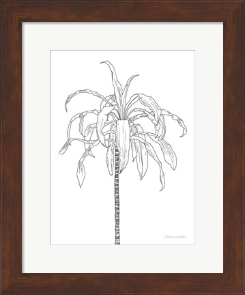 Framed Sketched Tree I Print