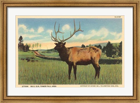 Framed Elk I Crop Print