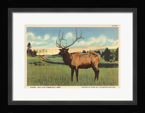 Framed Elk I Crop Print