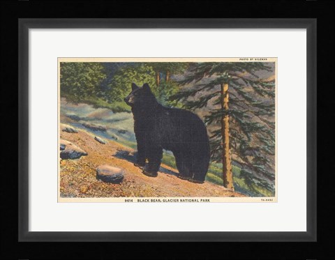 Framed Black Bear I Crop Print