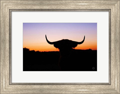 Framed Bull Set Print