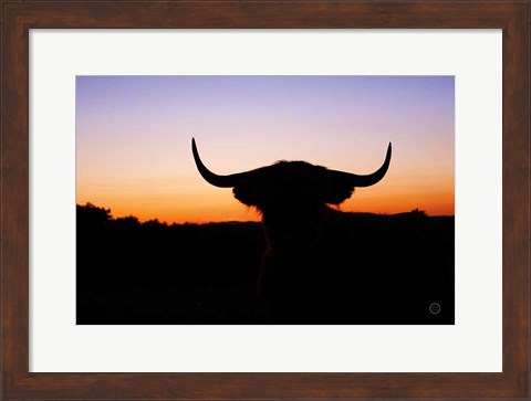 Framed Bull Set Print