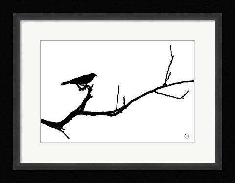 Framed Bird Silhouette Print