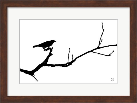 Framed Bird Silhouette Print