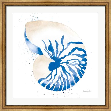 Framed Nautilus Sq Print